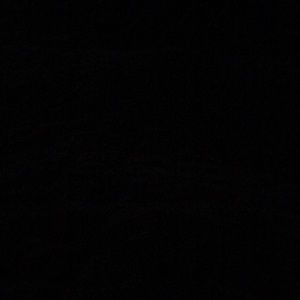 Meet your Posher, Annette